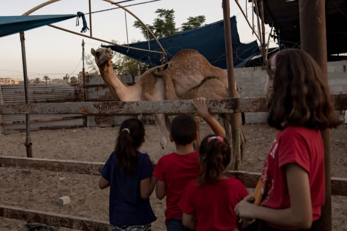 Eid al-Adha holiday in Gaza strained by ongoing conflict and rising prices