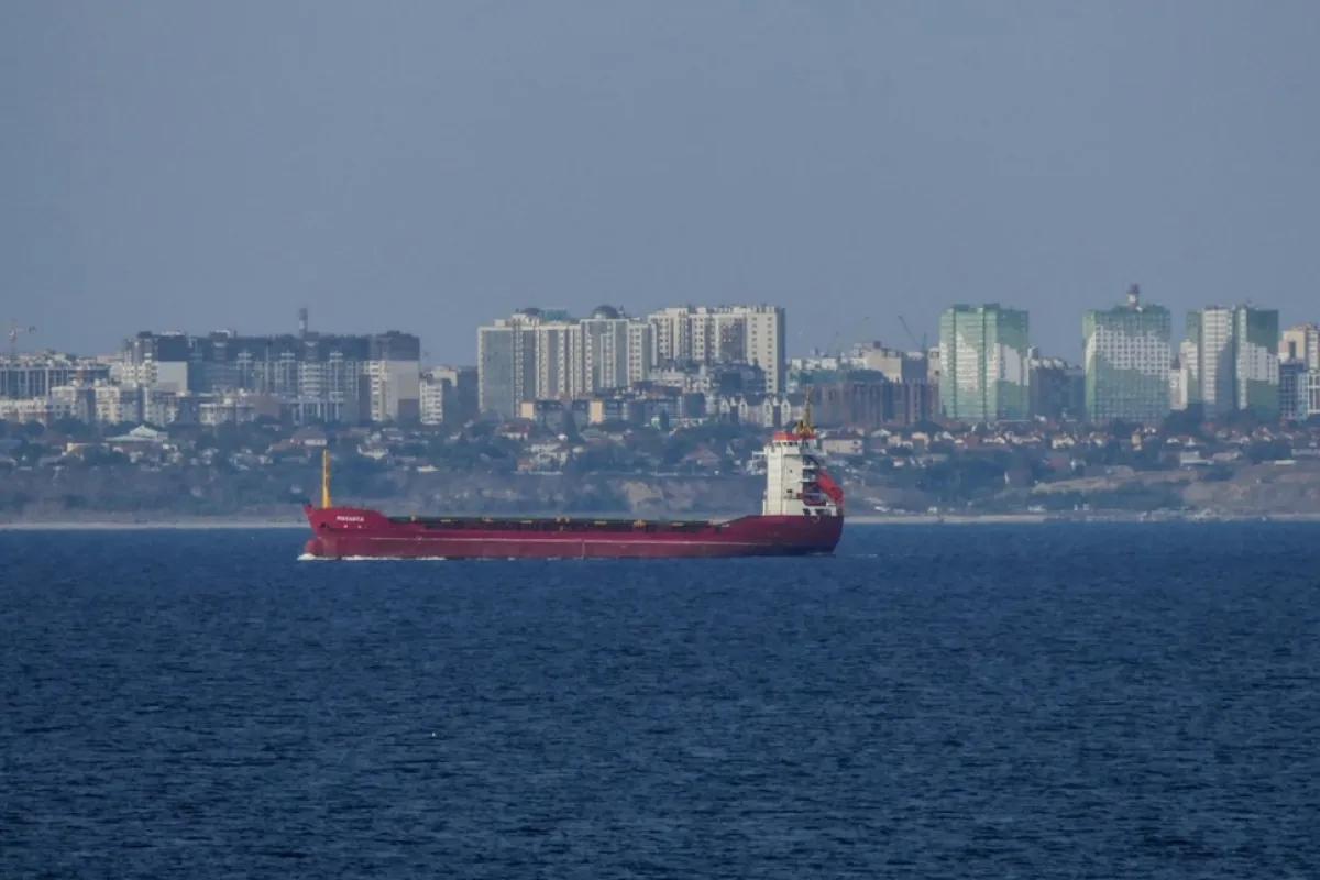 Two cargo ships enter port of Odesa