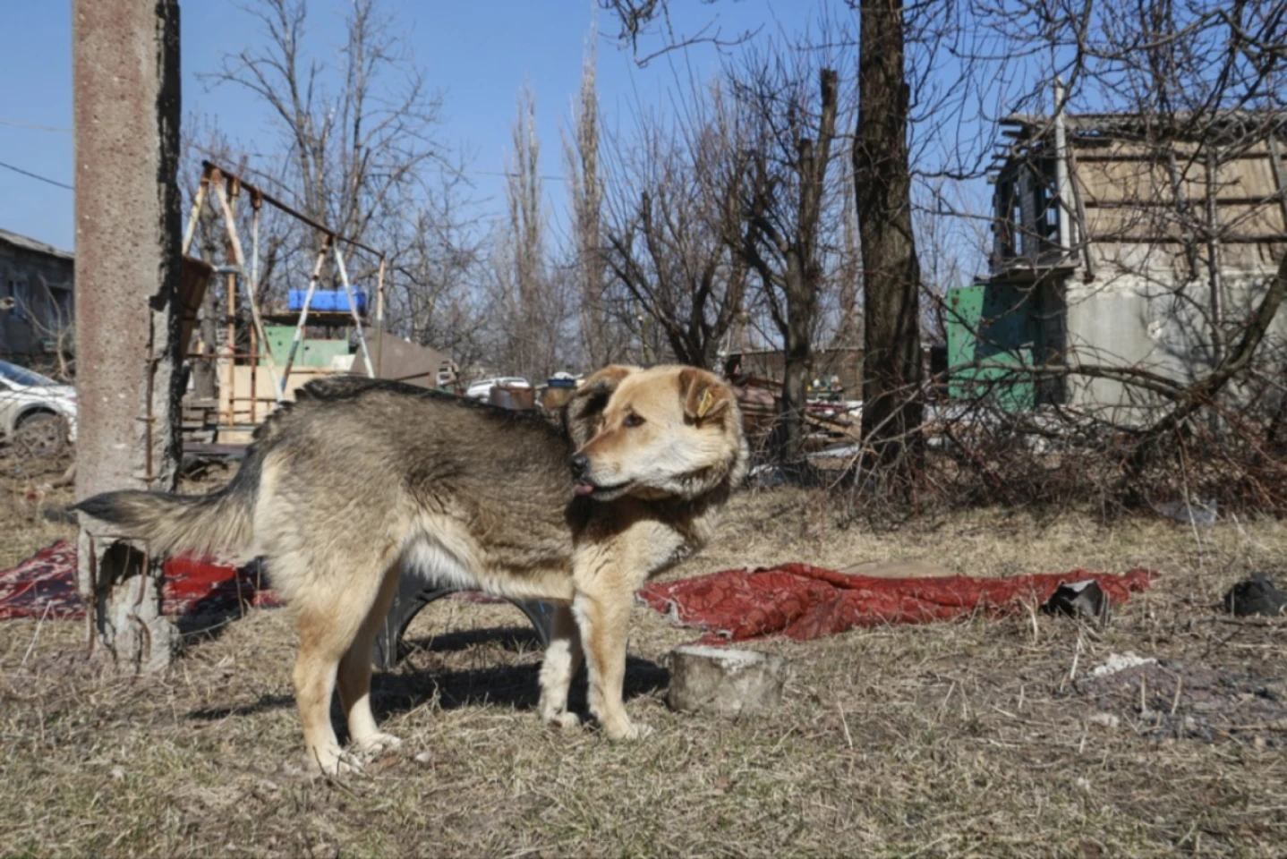 Rușii au ocupat în iulie 200 de kilometri pătrați în Ucraina