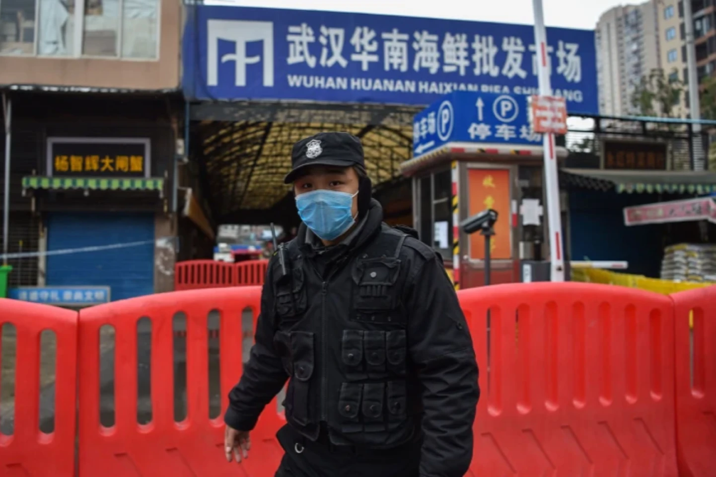 Nature: COVID pandemic started in Wuhan market animals after all, suggests latest study