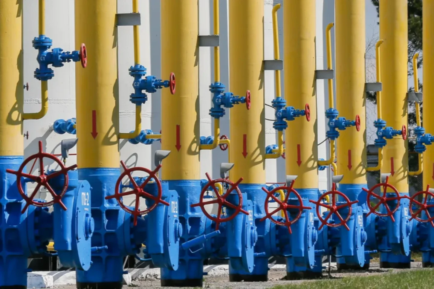 Novaya Gazeta Europe: Paying the piper