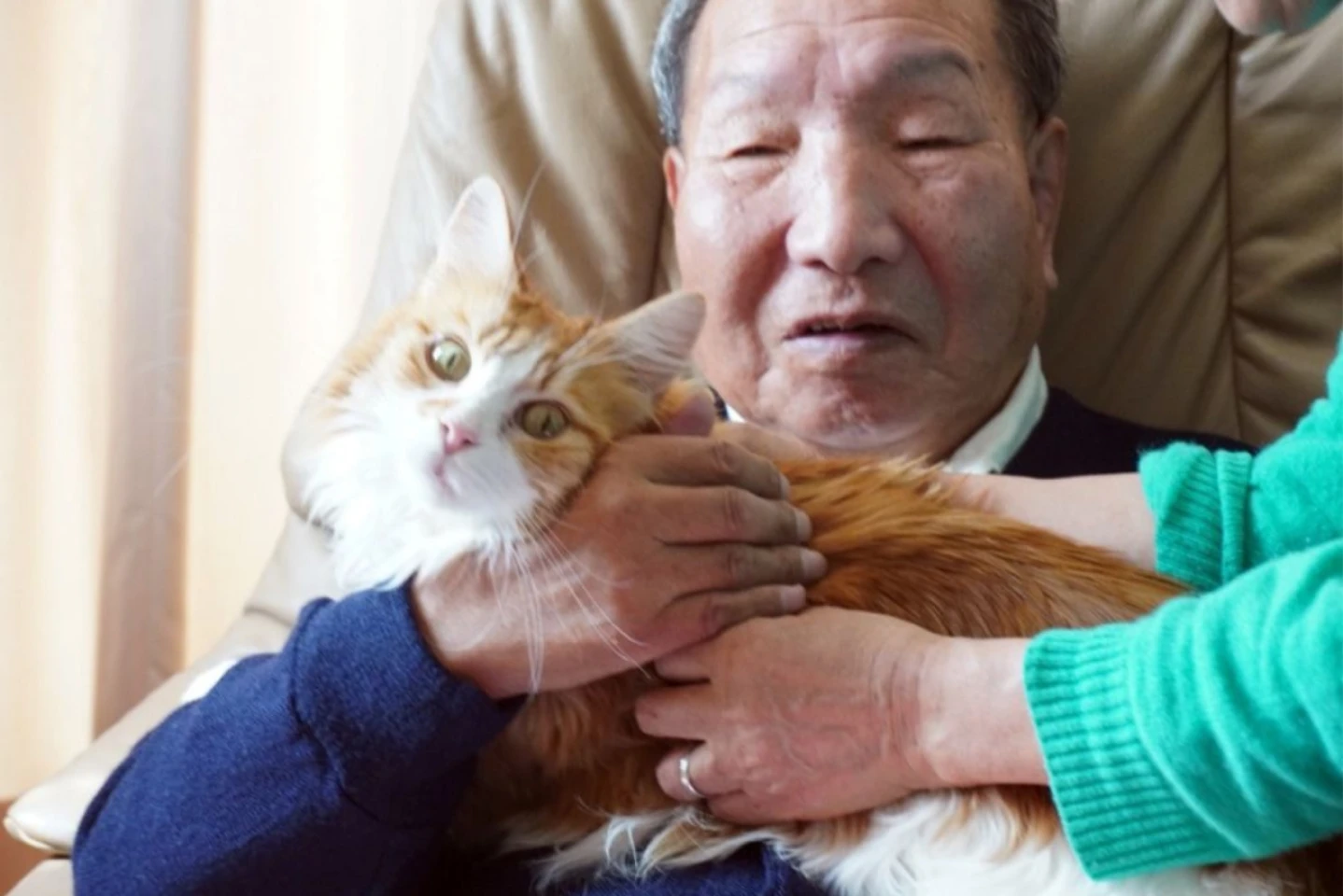 Un deținut japonez, condamnat la moarte pentru patru omucideri, a fost găsit nevinovat