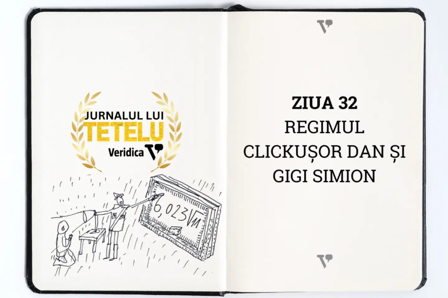 Regimul burghezo-nicușoresc