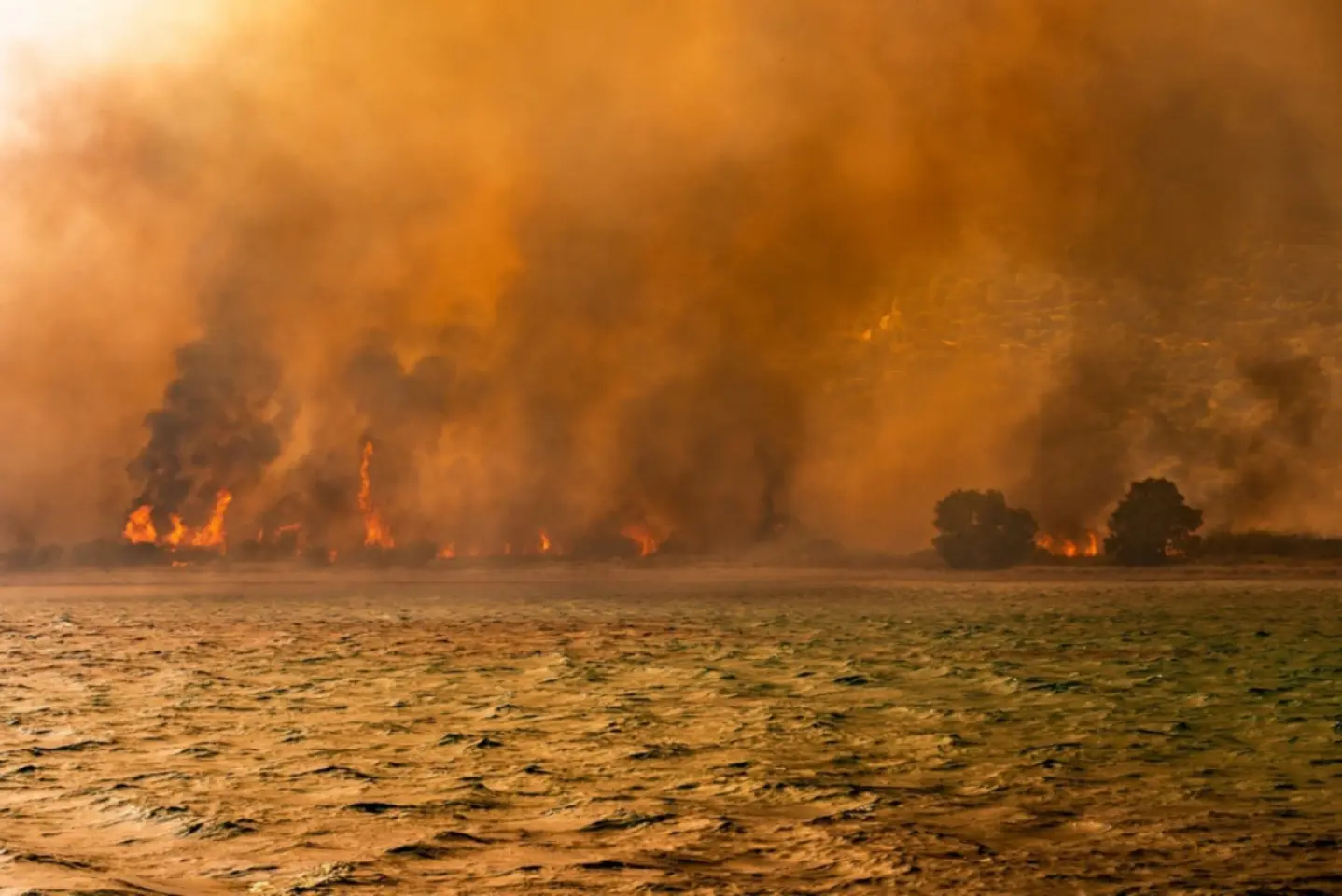 O femeie este acuzată că a produs incendiile din Grecia