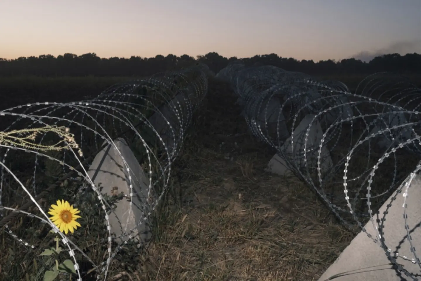 Ucraina accelerează fortificarea regiunii Sumî în faţa ofensivei ruse