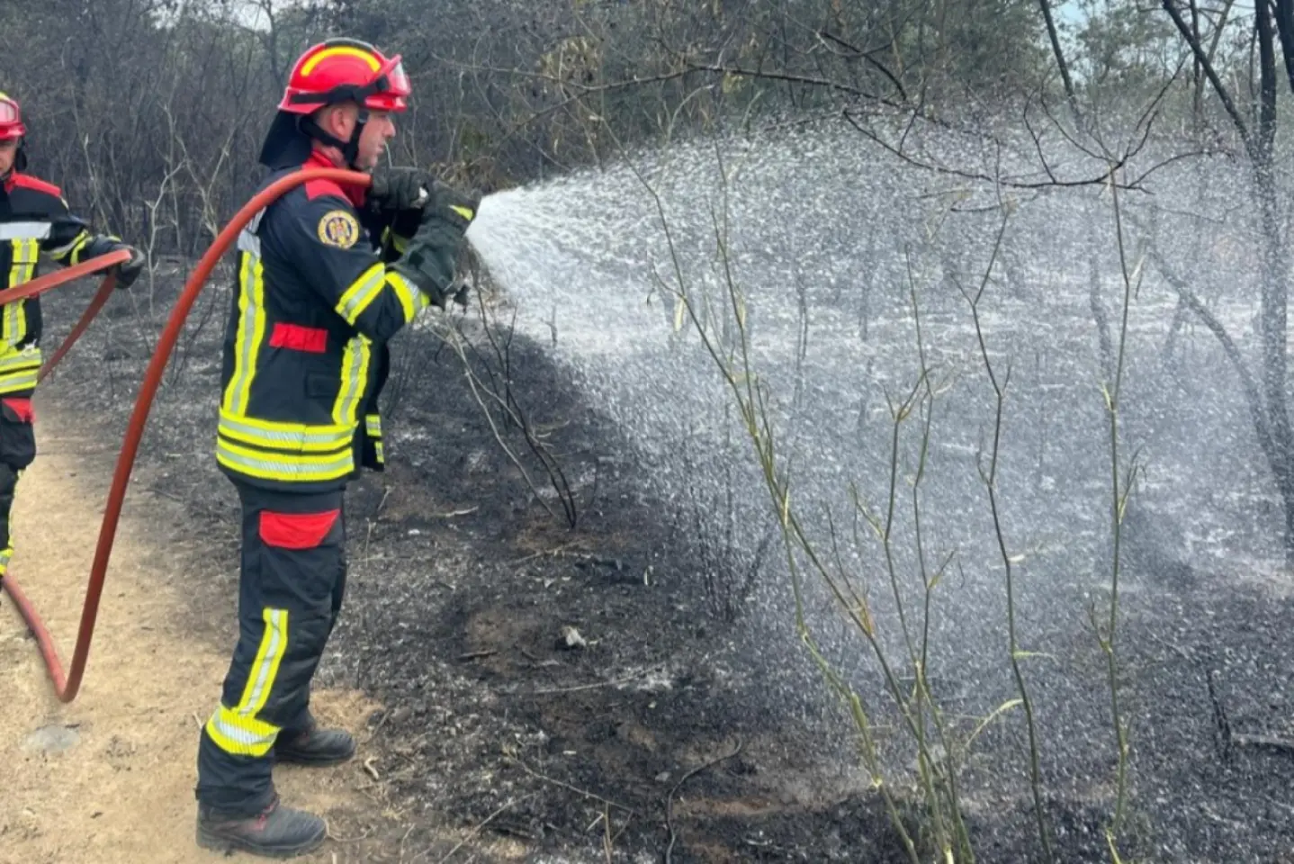 Pompierii români au participat la stingerea unui incendiu de vegetație în Franța    