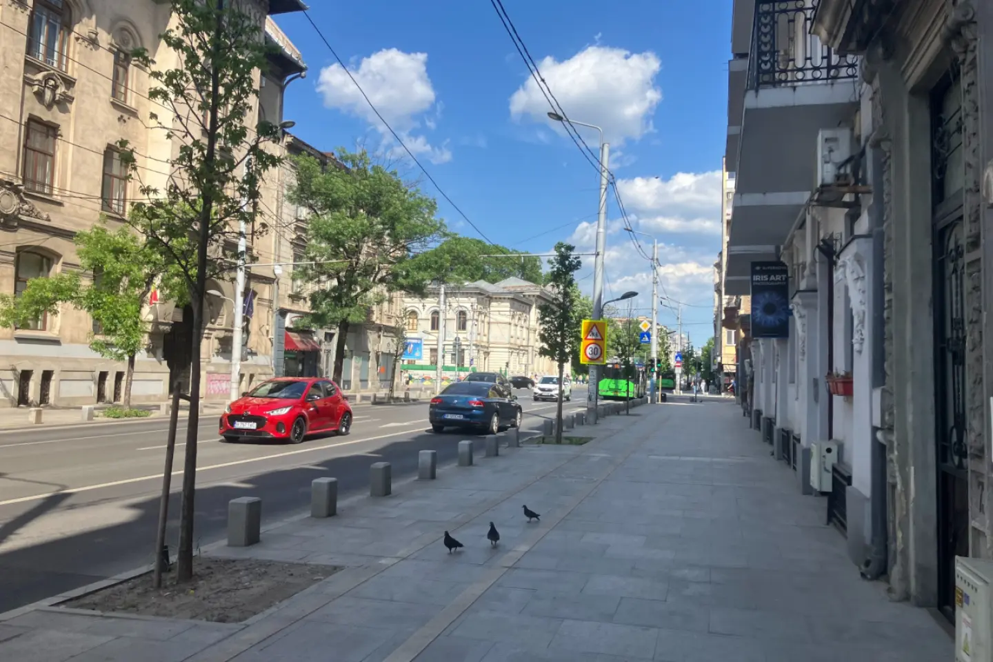 AUR conduce detaşat în cel mai recent sondaj de opinie electoral