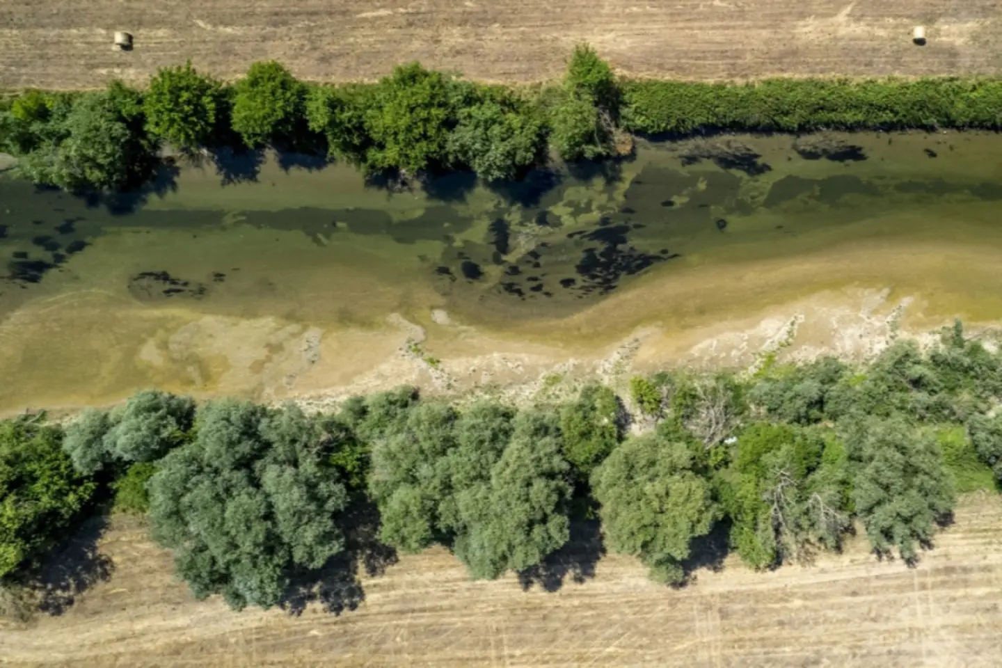 Fermierii iau în considerare abandonarea regiunii afectate de secetă din centrul Ungariei