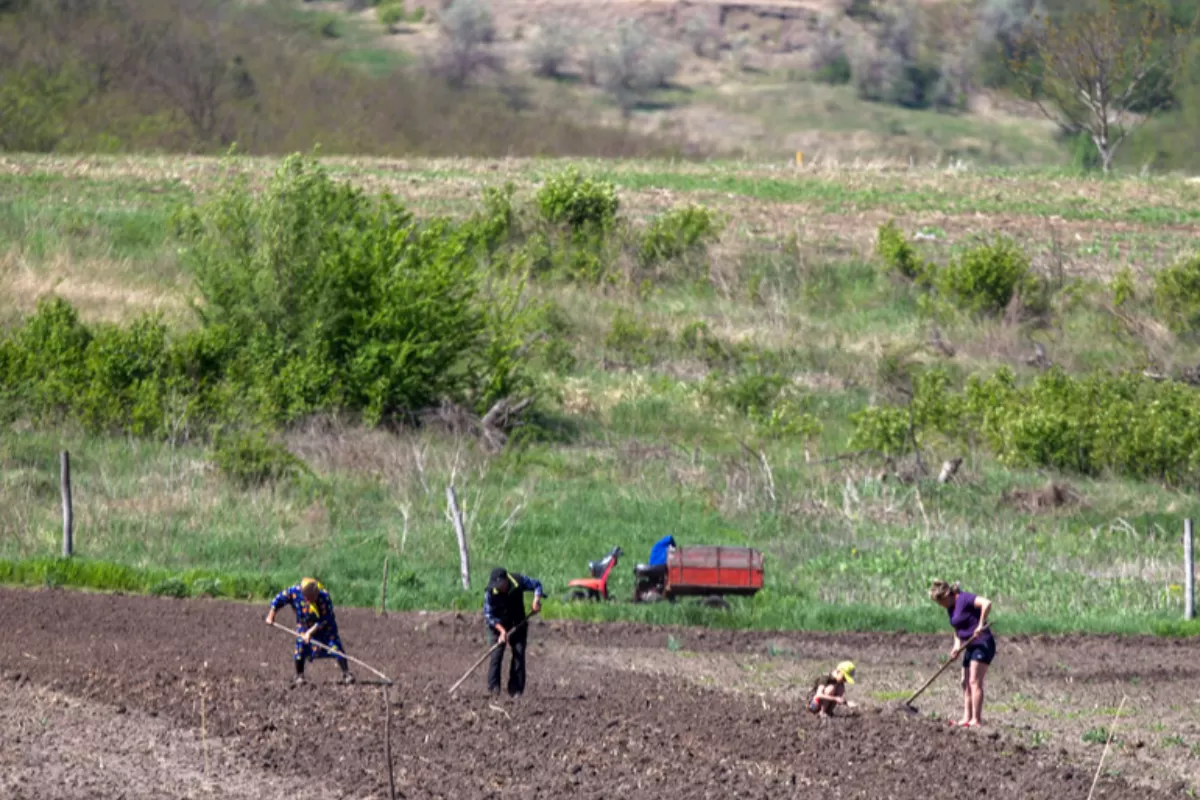 Agricultura