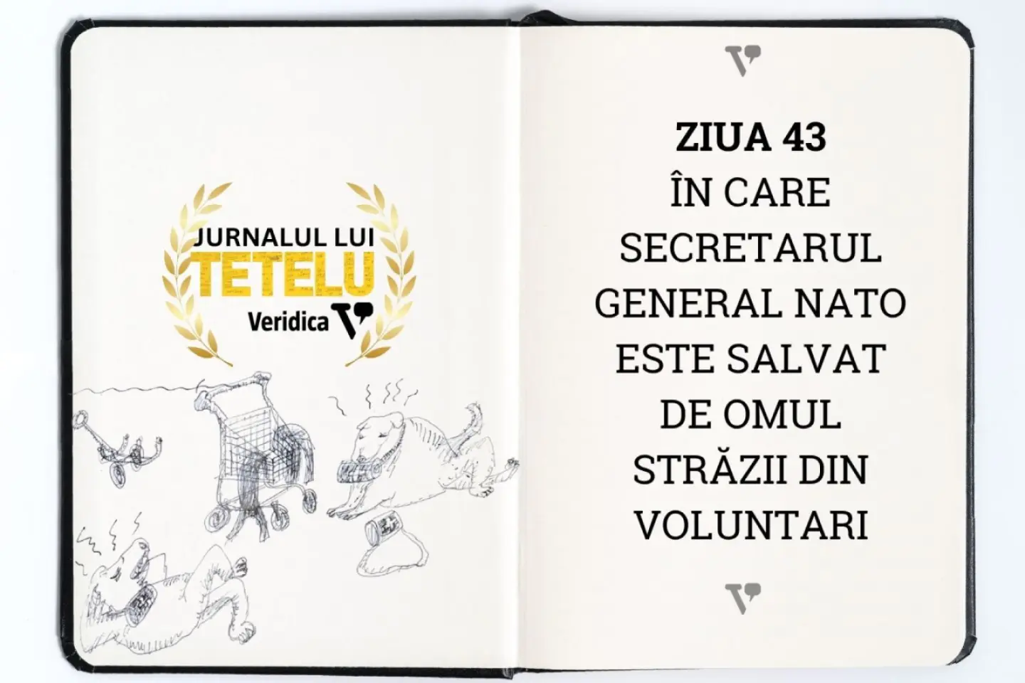 Ziua în care secretarul general NATO este salvat de omul străzii din Voluntari