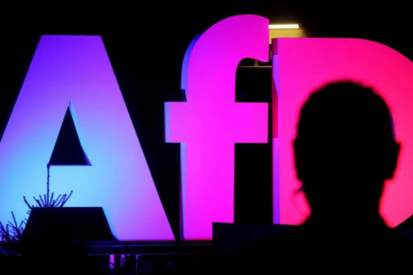 Deputați germani de extremă dreapta vor vizita Rusia