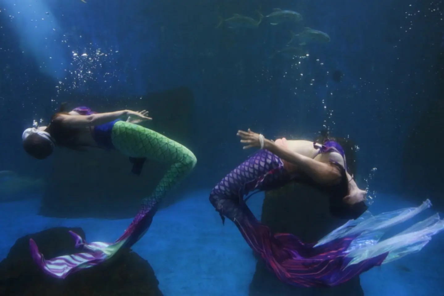 Povești cu europeni invidioși, sirene pescuite și interzicerea sobelor pe lemne 