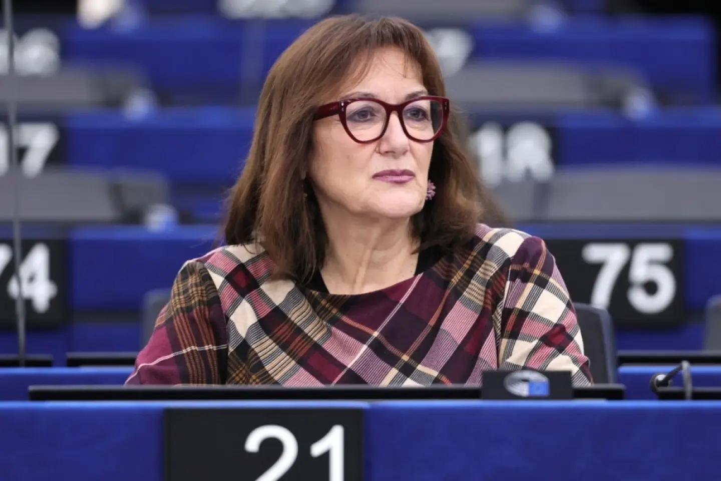 UE trimite un reprezentant la Consiliul pentru pace 