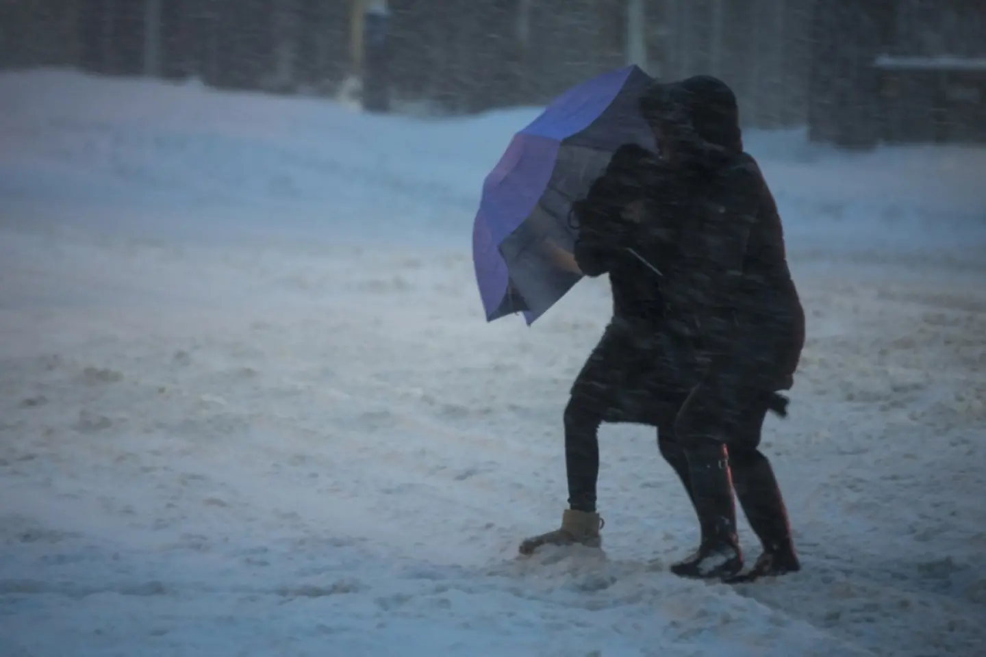 Stare de urgență în nord-estul Statelor Unite din cauza unei furtuni de zăpadâ