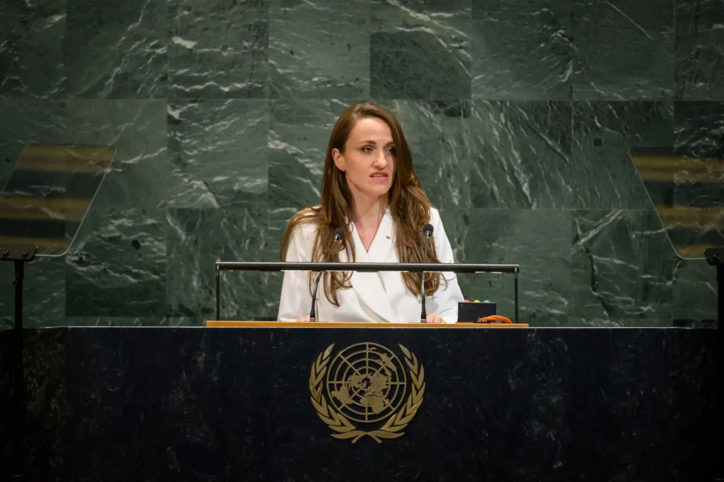 MAE a sesizat Consiliul de Securitate al ONU cu privire la dronele rusești care încalcă teritoriul României