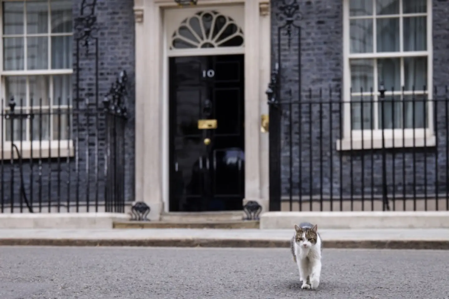 Crește presiunea pe premierul britanic să demisioneze