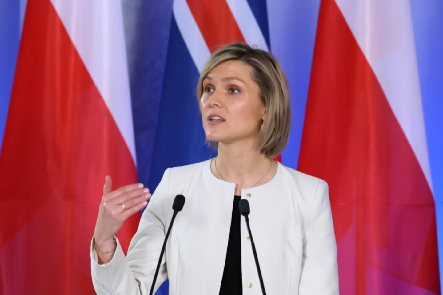 Islanda vrea să adere la UE