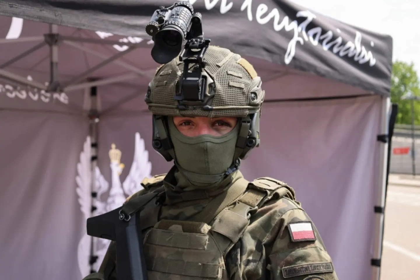 Spion la compania poloneză de arme 
