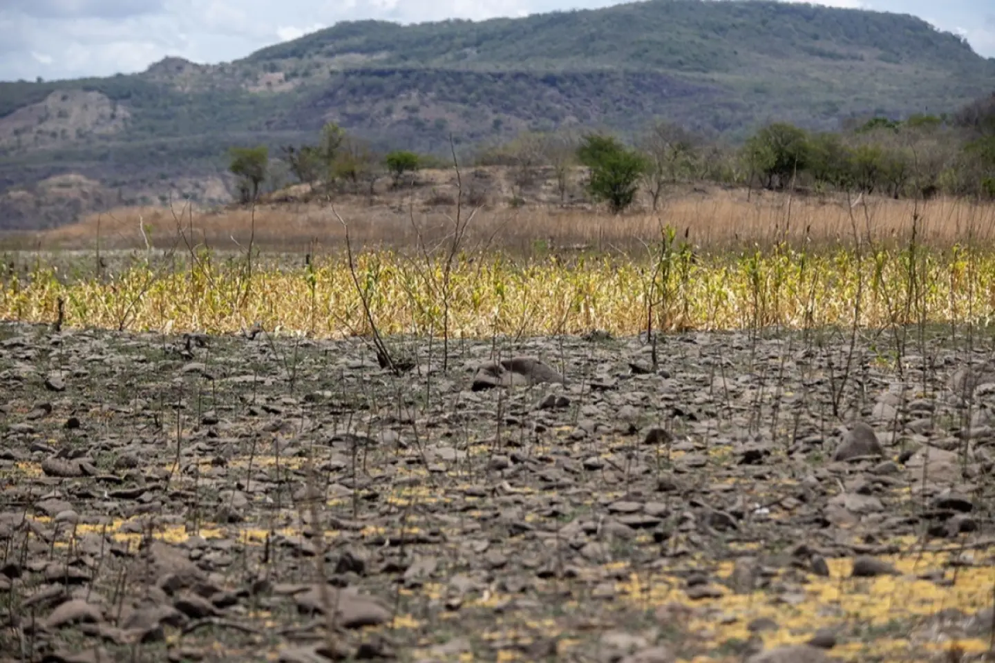 Meteorologii avertizează în legătură cu fenomenul El Nino