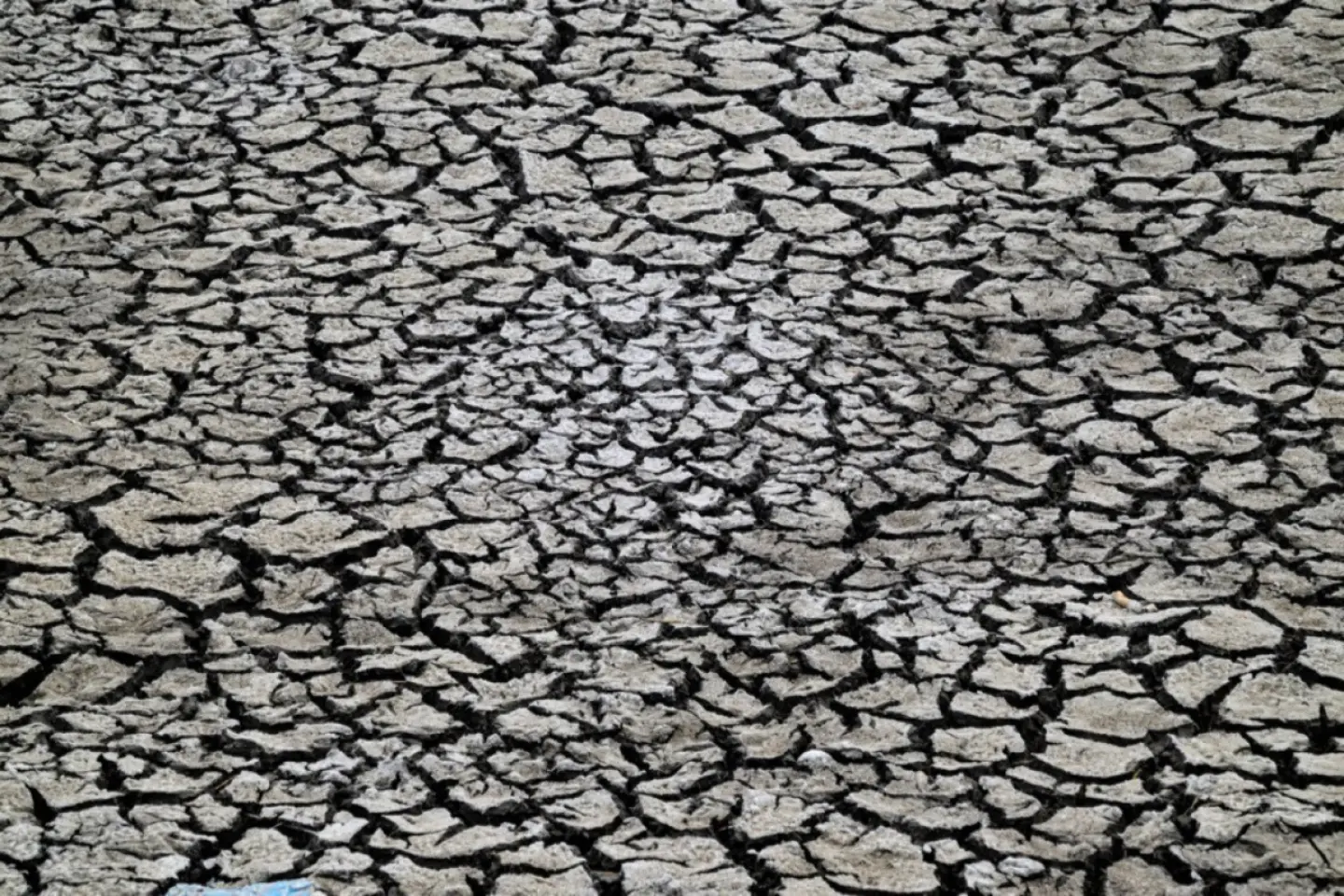 Avertismentul meteorologilor 