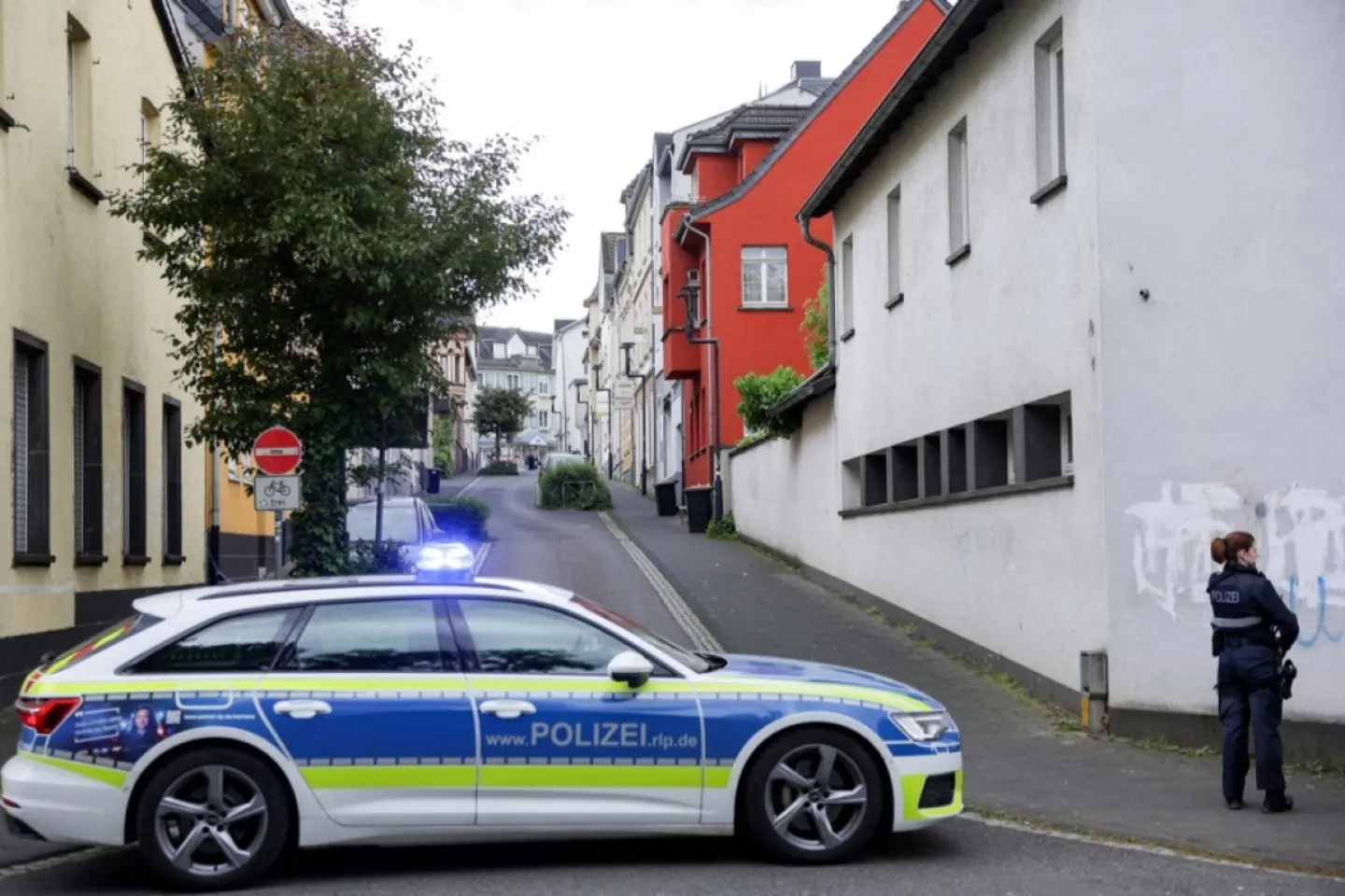 Român care intenționa să instaureze nazismul în România, arestat în Germania
