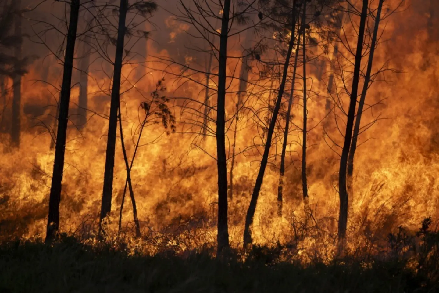 Incendii de proporții în Spania