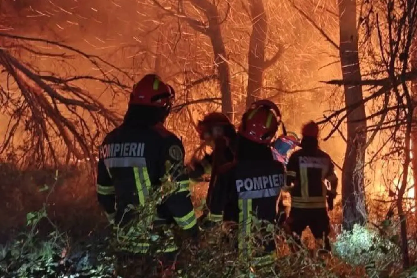 Emmanuel Macron mulţumeşte României pentru sprijinul în lupta cu incendiile din Franţa