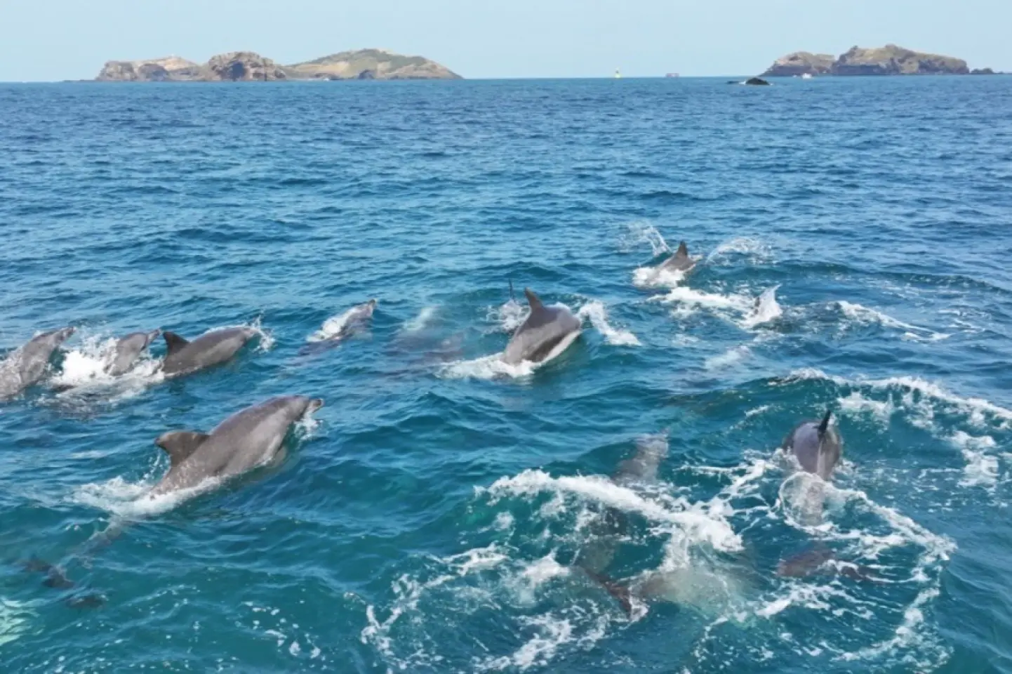 Oceanele lumii au atins temperaturi record în iulie