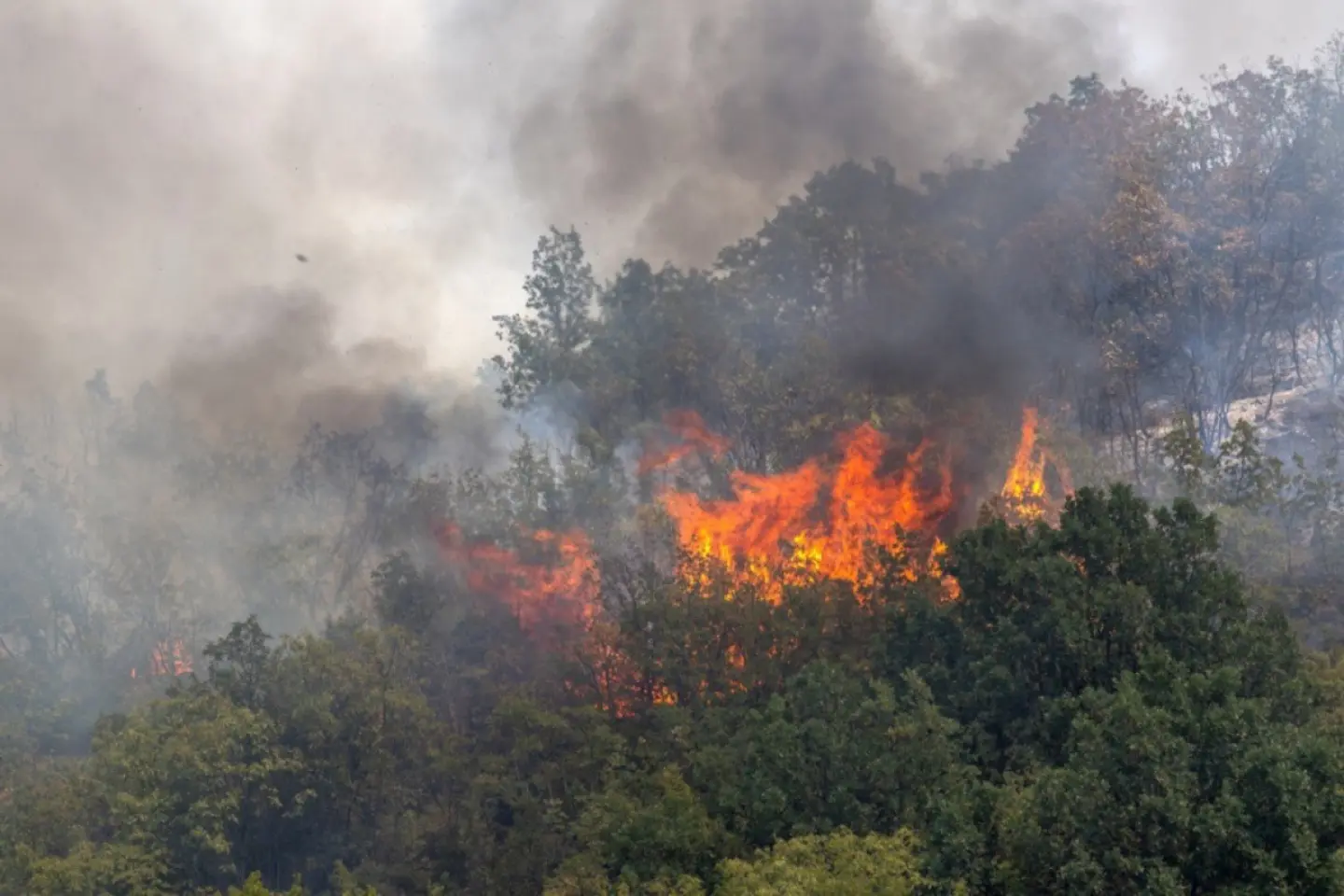 UE trimite ajutoare în Serbia în lupta cu incendiile
