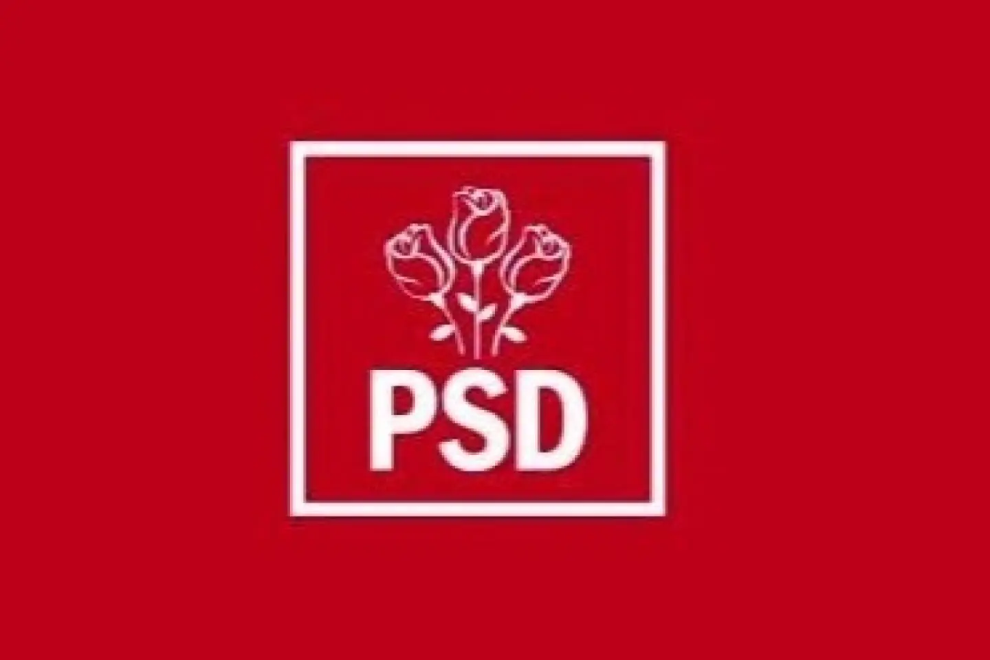 PSD a decis să își asume responsabilitatea guvernării