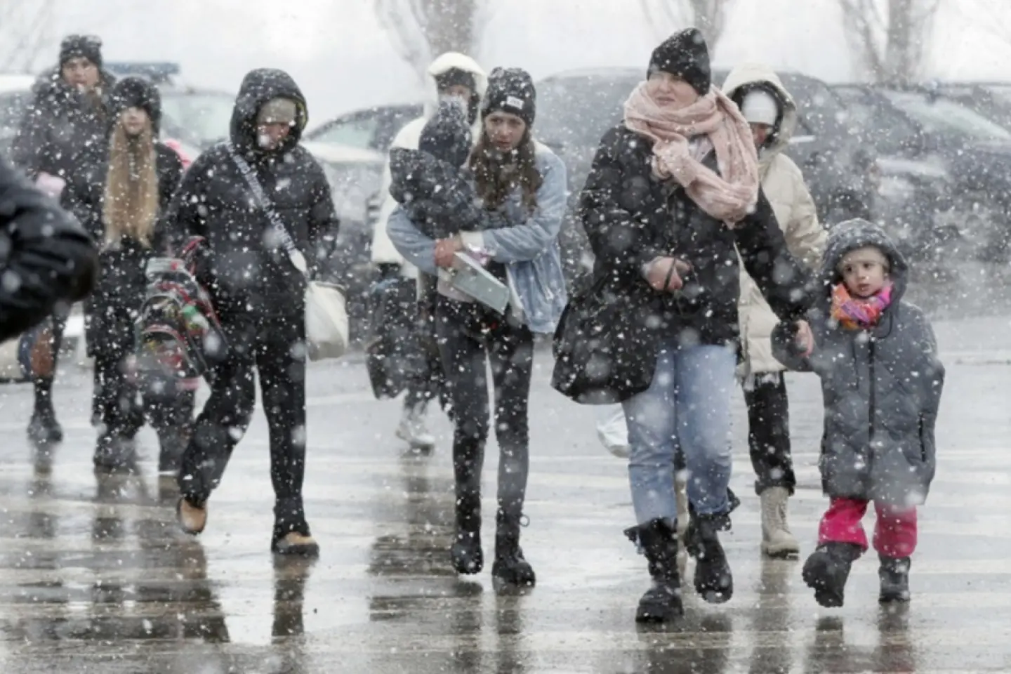 Aproape 224.000 de străini beneficiază de protecţie temporară în România