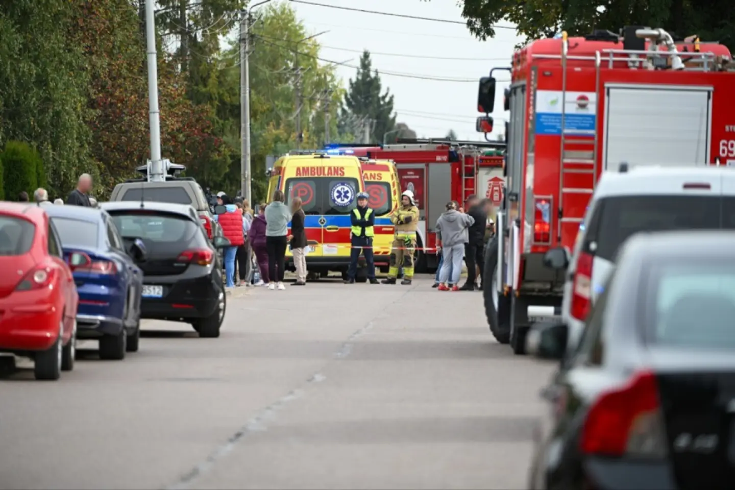 Polonezii vor detectoare de metale în școli