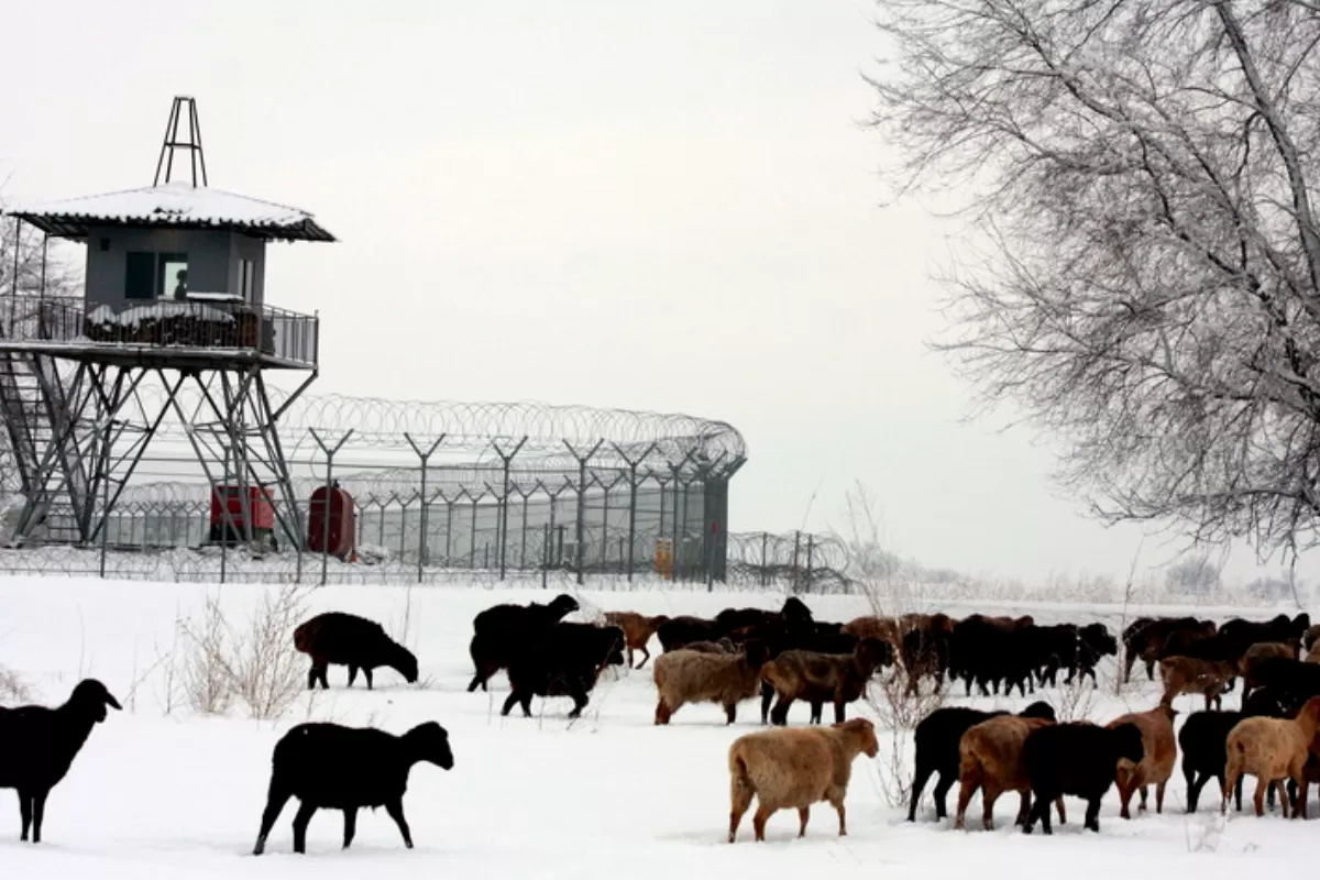 Vedere generală asupra unei baze aeriene a unei coliții internaționale antiteoriste, la aeroportul Manas de lângă Bișkek, Kirghizstan, 4 februarie 2009.