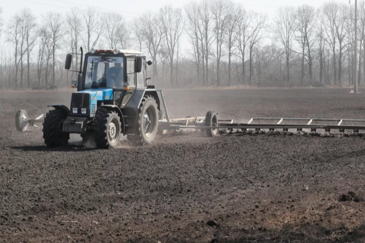 RĂZBOI ÎN UCRAINA: Kievul vrea să-și expedieze exporturile agricole prin portul românesc Constanța