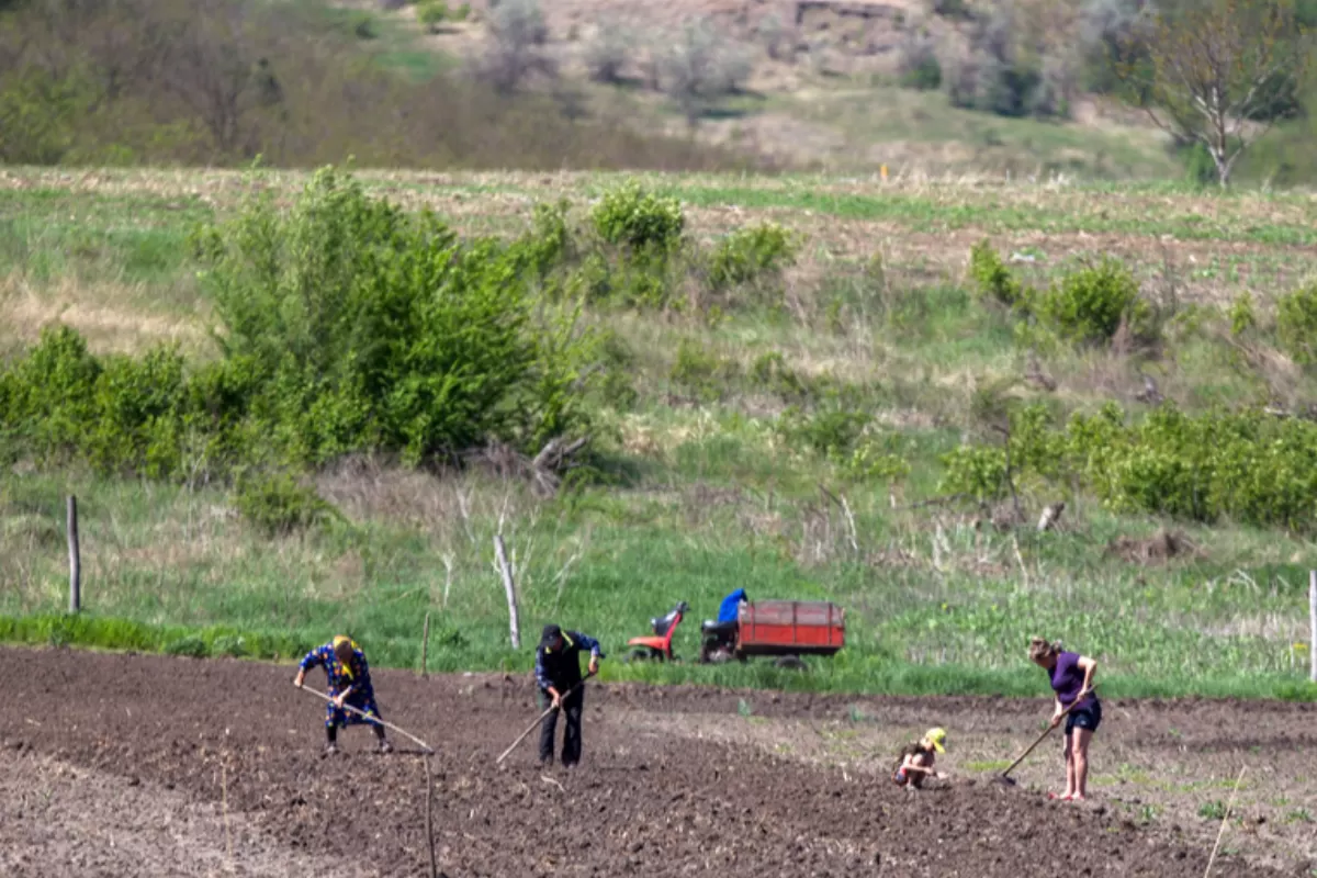 Membrii unei familii lucrează cu mâna pe parcela lor de teren într-un câmp din apropierea satului Valea Perjei, raionul Cimișlia, la sud de Chișinău, Moldova, 30 aprilie 2018.