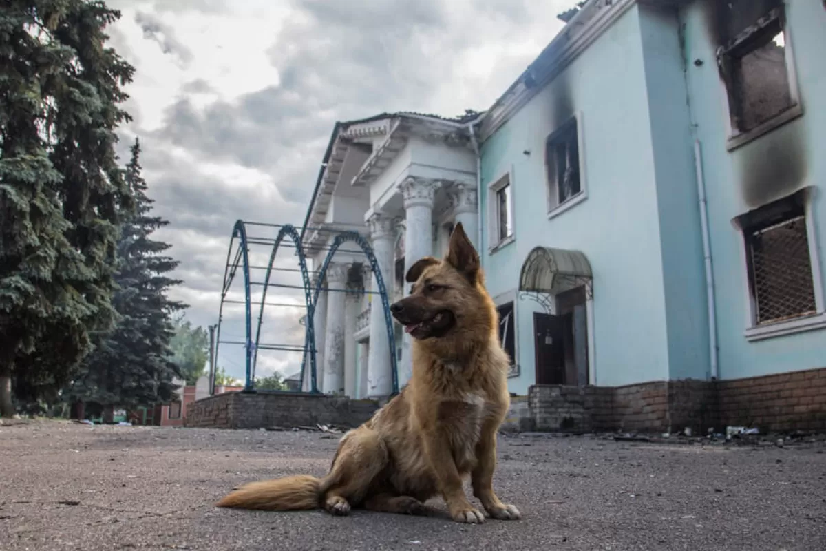 Object Name: UKRAINE RUSSIA CONFLICT