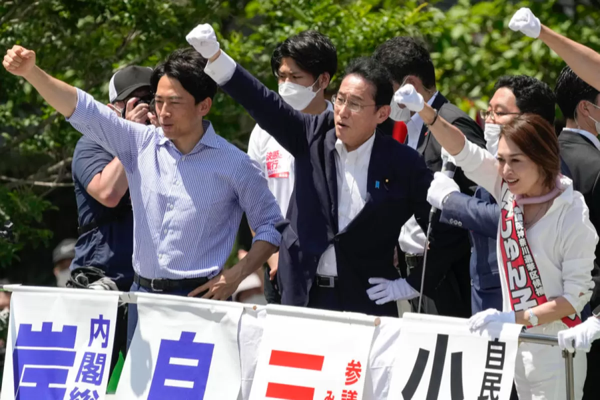 Object Name: JAPAN ELECTIONS