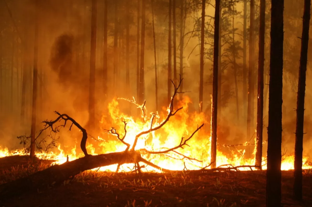 Object Name: RUSSIA HEAT AND WILDFIRES