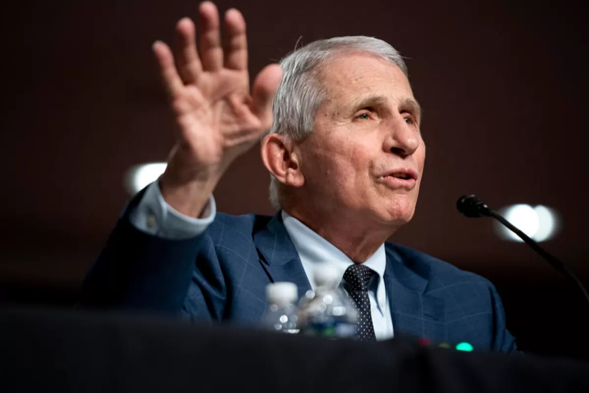 Dr. Anthony Fauci, White House Chief Medical Advisor and Director of the NIAID, answers questions during a Senate Health, Education, Labor, and Pensions Committee hearing to examine the federal response to COVID-19 and new emerging variants on Capitol Hill in Washington, DC, USA, 11 January 2022.
