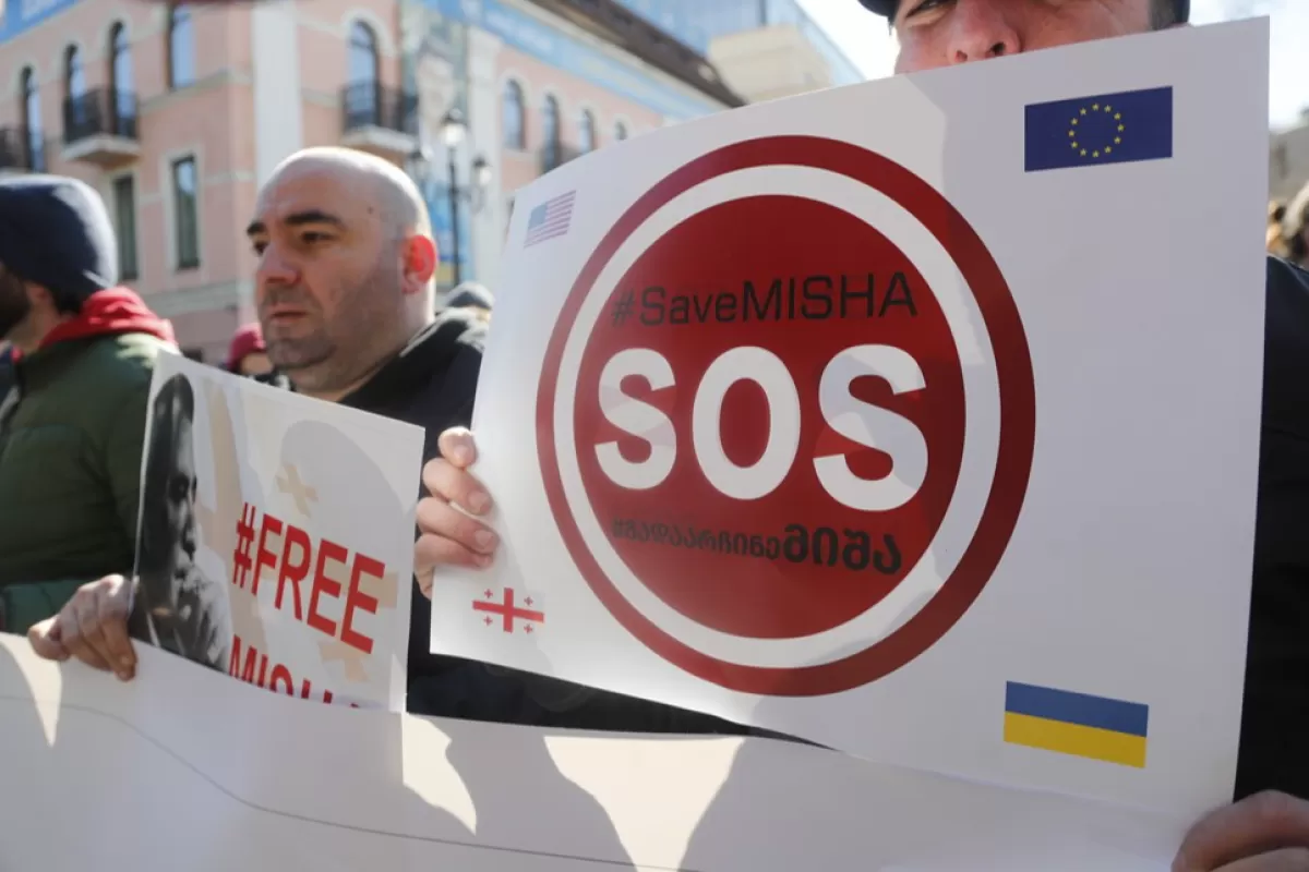 Saakashvili supporters protest in Tbilisi