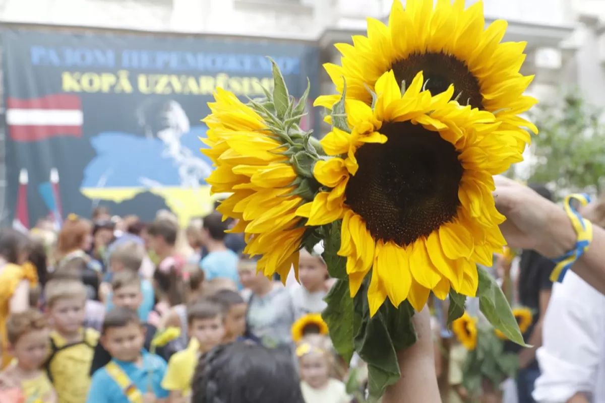 People participate in a 'Sunflower path' to celebrate Ukraine's Independence Day in Riga, Latvia, 24 August 2022.
