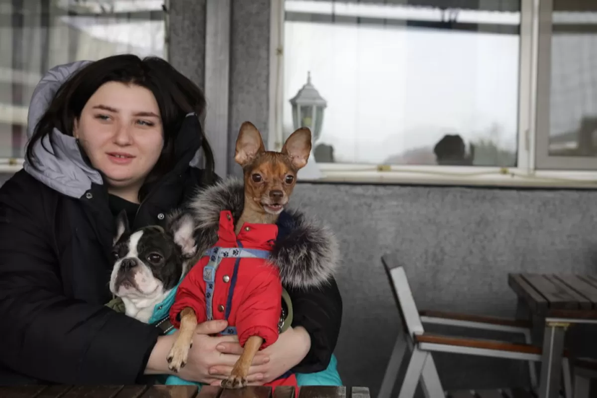 Ukrainian refugees road to safety in Germany