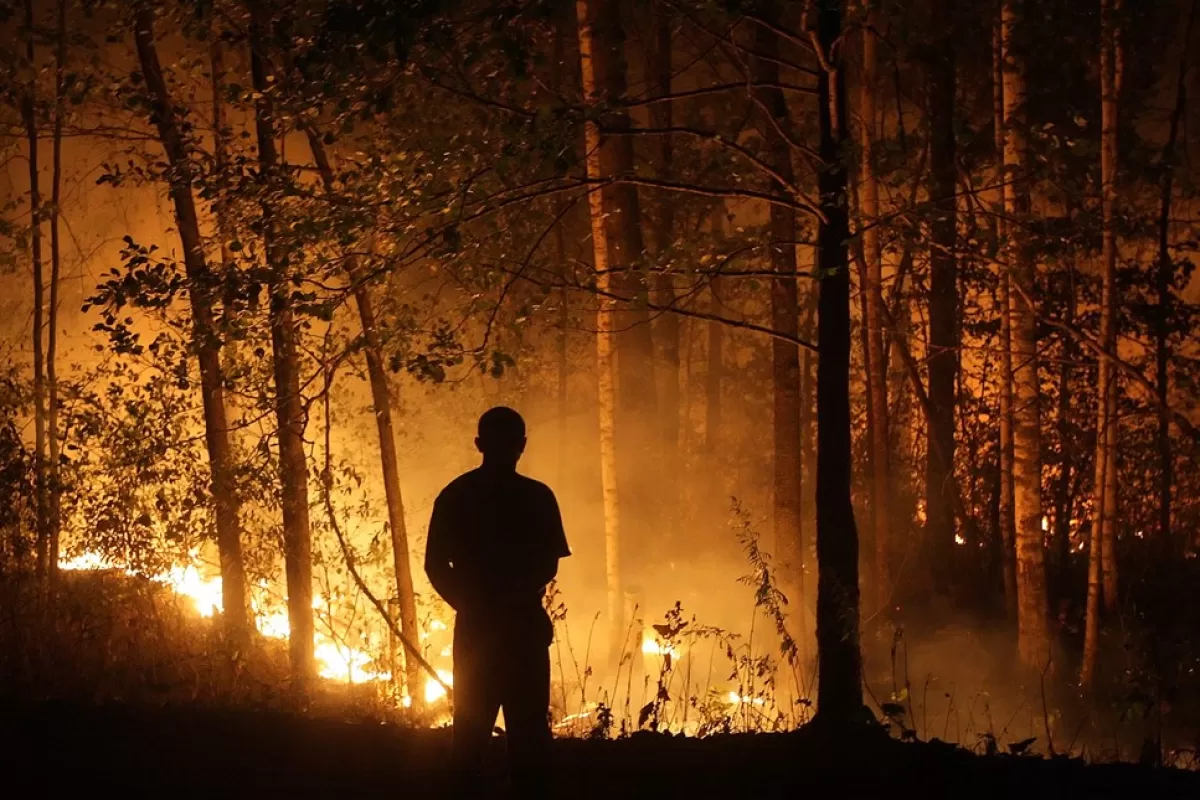 Wildfires in Russia