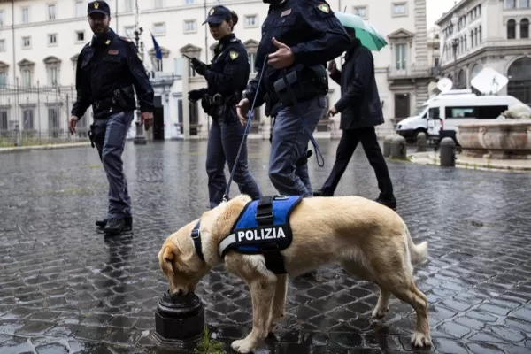Poliţia italiană a capturat aproape trei tone de cocaină, acunse printre banane