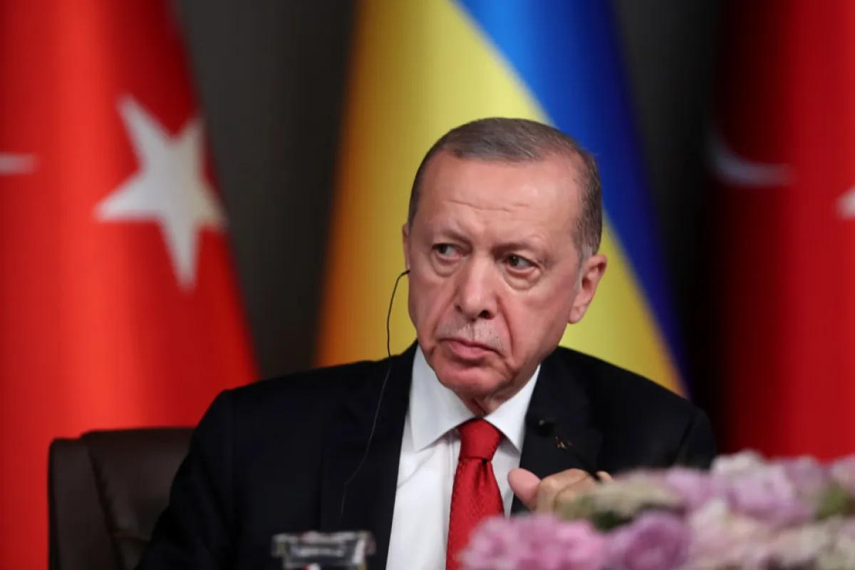 Ukrainian President Zelensky and Turkish President Erdogan joint press conference in Istanbul