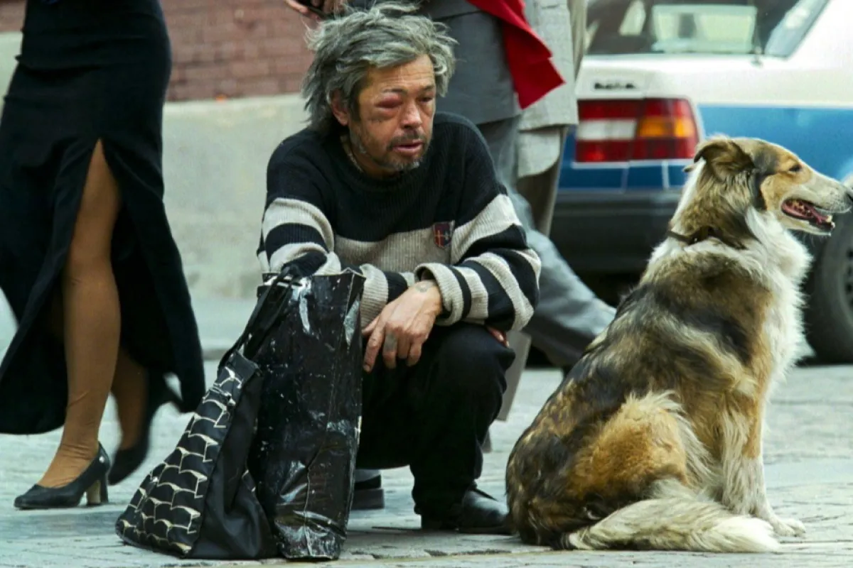 RUSSIA - HOMELESS-DOG
