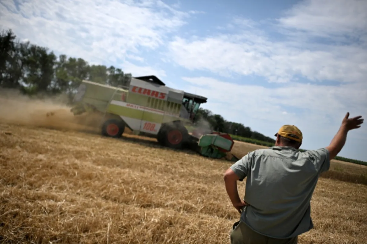 O combină este văzută pe câmp în timpul recoltării grâului, lângă orașul Shabla, Bulgaria, 10 iulie 2023.