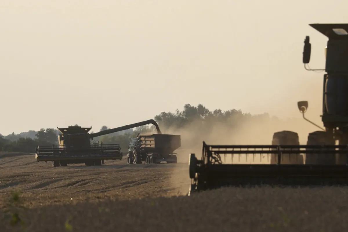 O combină recoltează grâul într-un câmp de lângă Kiev, Ucraina, 4 august 2023.