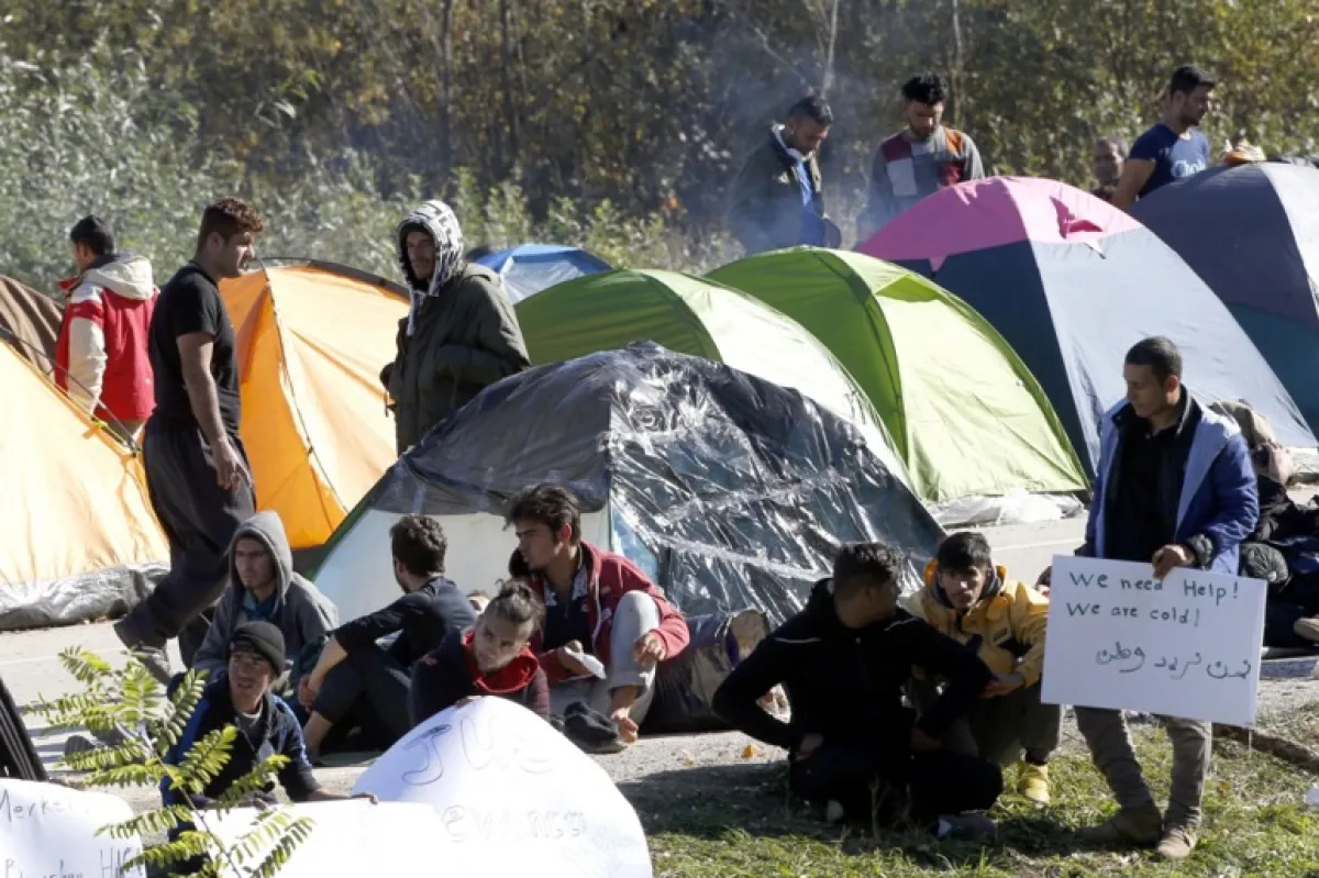migranti