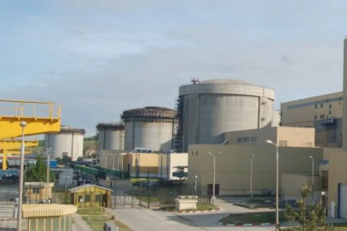 nuclearelectrica